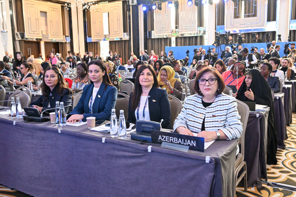 Сахиба Гафарова: Парламентарии должны быть частью решения существующих проблем