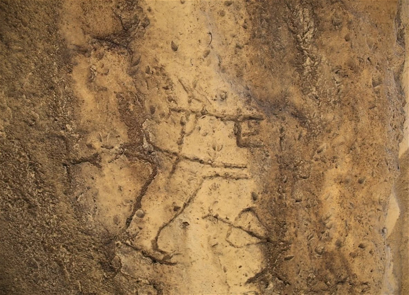 В Гобустане обнаружены новые наскальные изображения