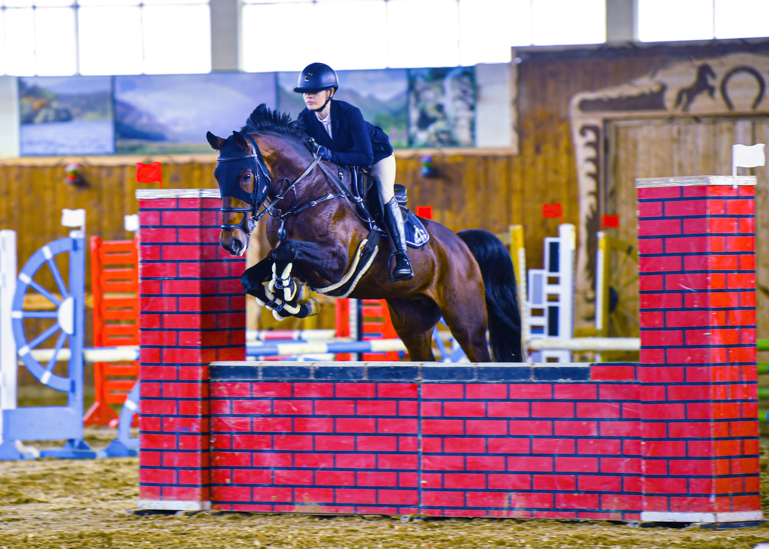 Праздник грации и скорости