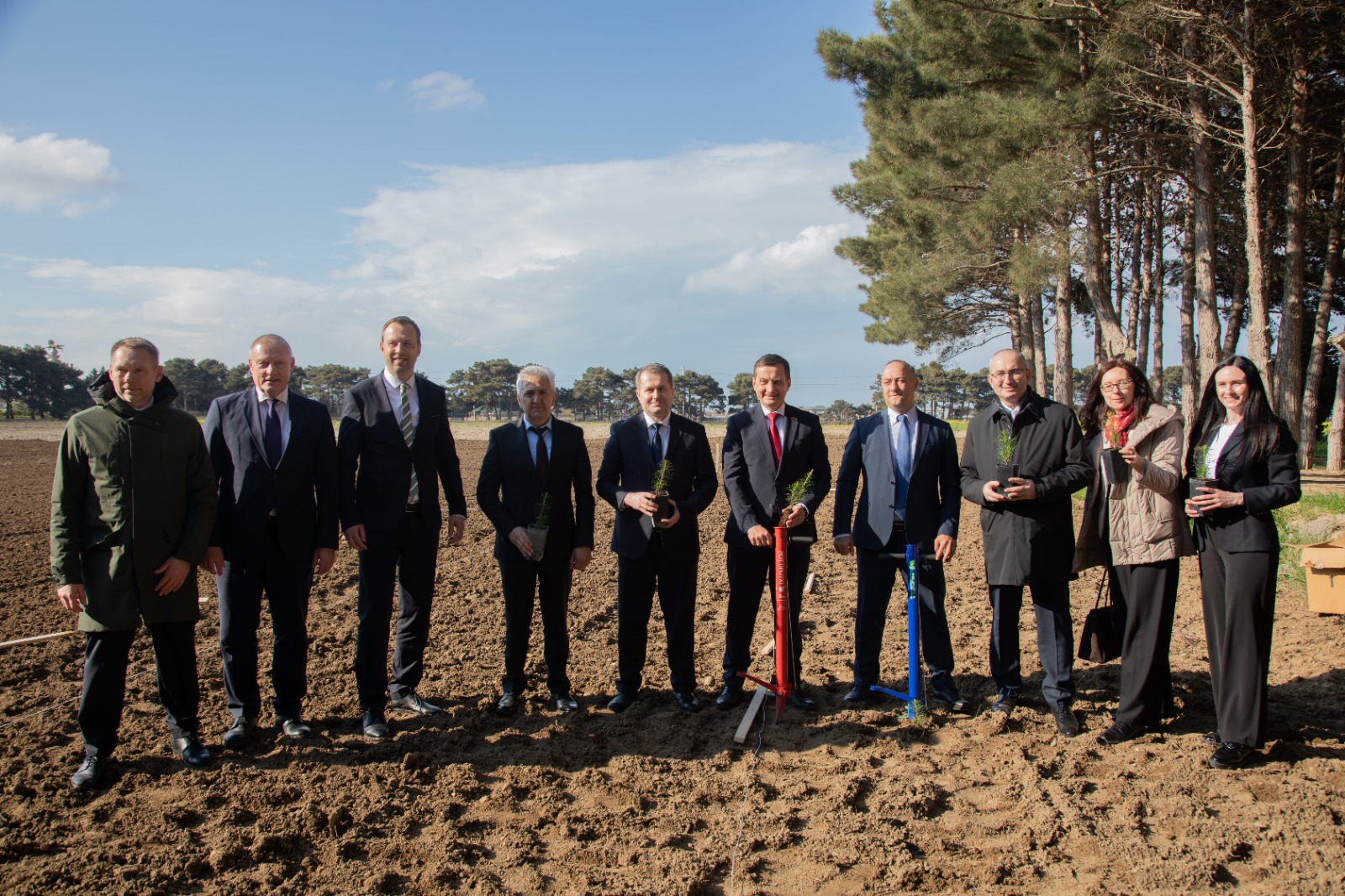 Дружба, пустившая корни