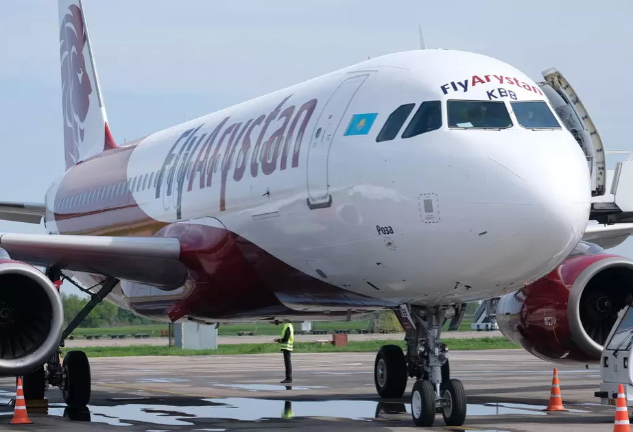 
В Казахстане самолет столкнулся с собакой при посадке