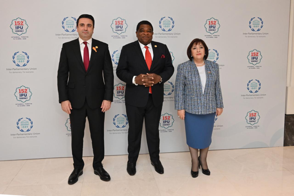 Председатели парламентов Азербайджана и Армении встретились в Стамбуле