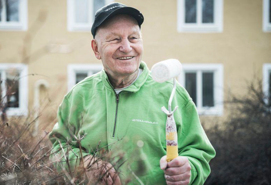 Пенсионеры Швеции все чаще продолжают работать