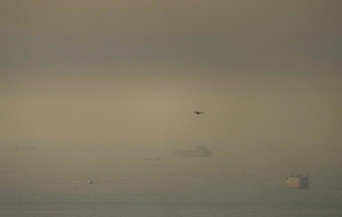 Еще три круизных лайнера начали выход из Персидского залива