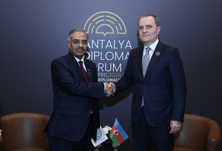 Активная деятельность Азербайджана в рамках D-8 получает высокую оценку