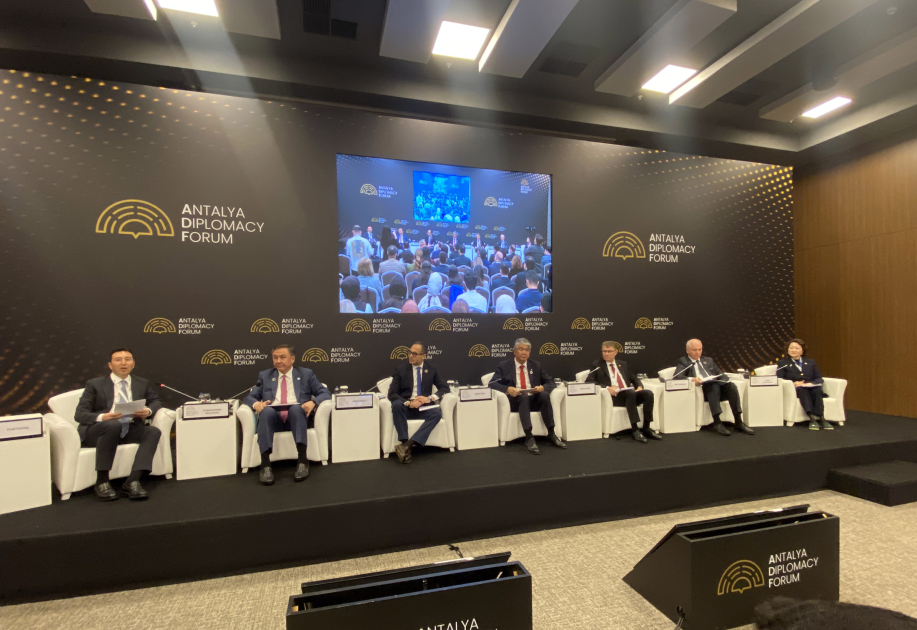 В Анталье обсудили влияние Бакинского тюркологического съезда на тюркскую идентичность