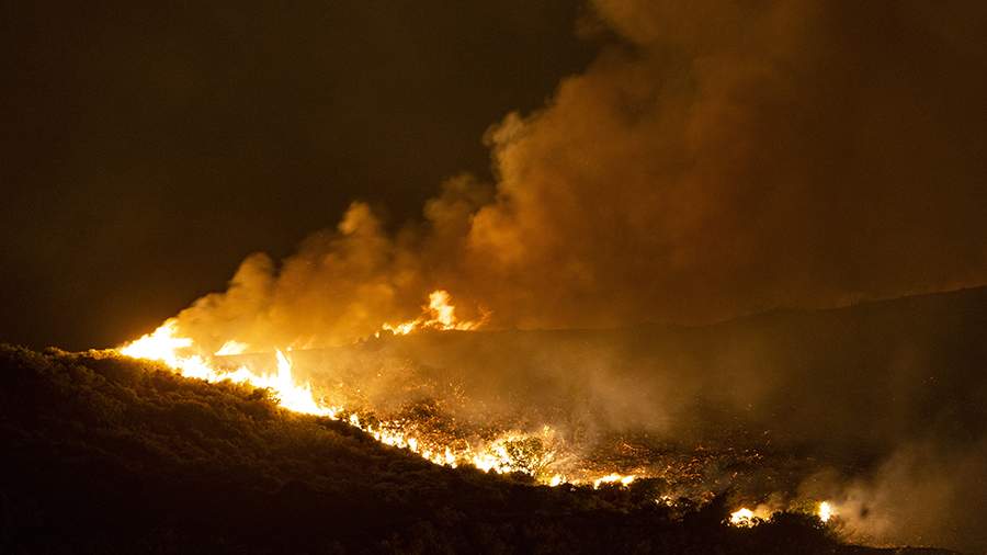 В Финляндииполностью сгорел остров, его не пытались потушить