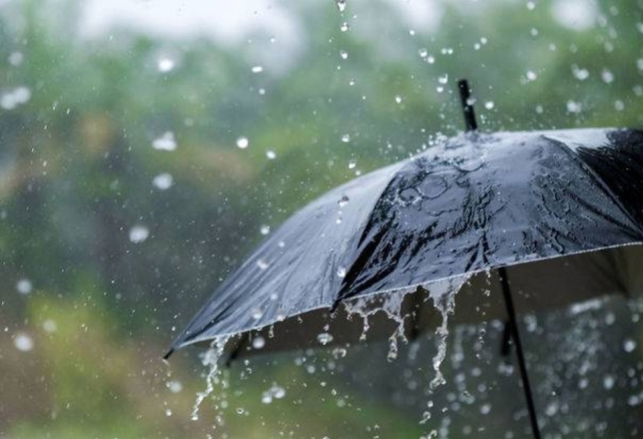 
Во вторник ожидаются дожди, к вечеру осадки постепенно прекратятся