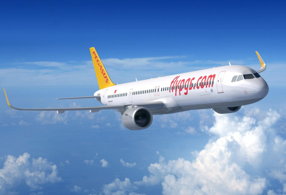 Самолет из Санкт-Петербурга сел в Бухаресте