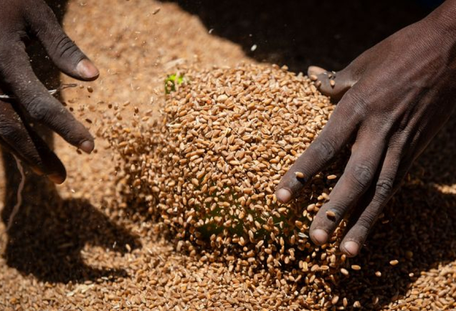 
Доклад ООН: дефицит финансирования угрожает достижению Целей в области устойчивого развития