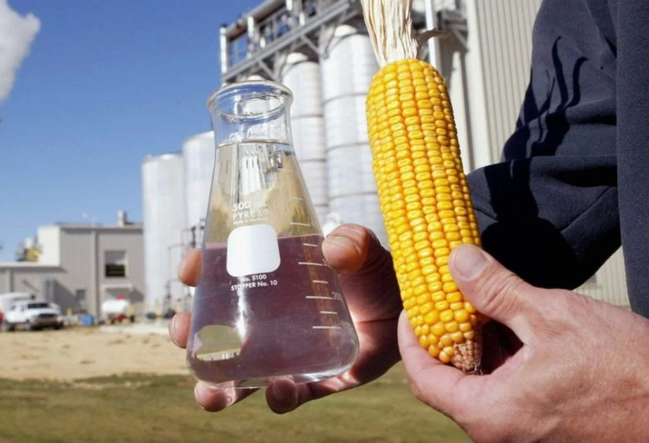 
Война с Ираном вызвала спрос на биотопливо