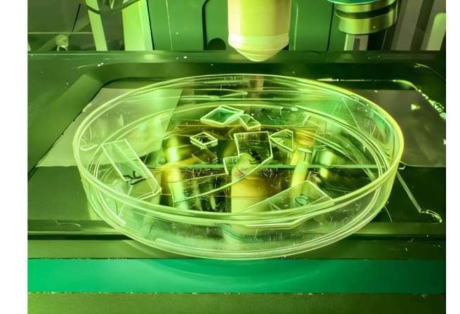 Создана противовирусная пленка для смартфонов и медицинского оборудования