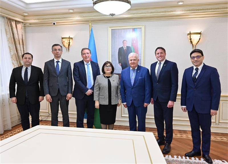 Сахиба Гафарова встретилась с членами межпарламентской группы дружбы Ирландия-Азербайджан