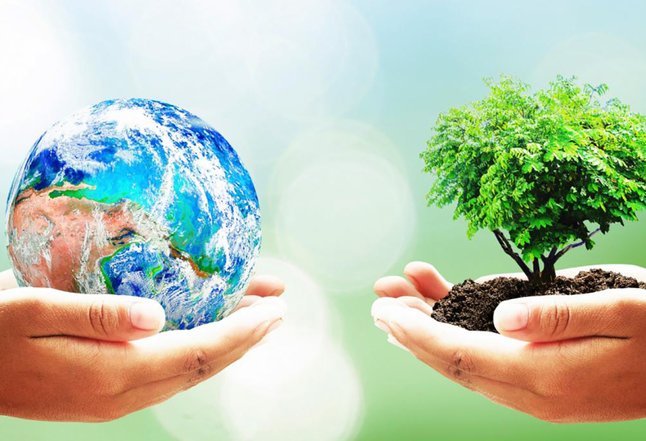 
Международный день Земли