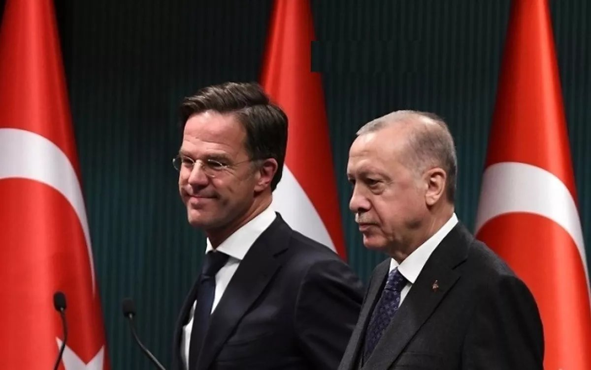 Генсек НАТО приехал за советом к Эрдогану
