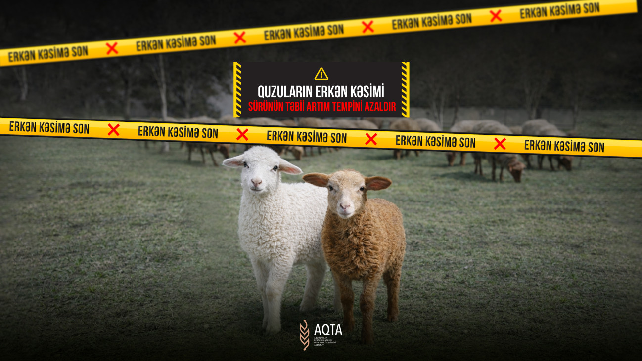 Здоровье нации и продбезопасность