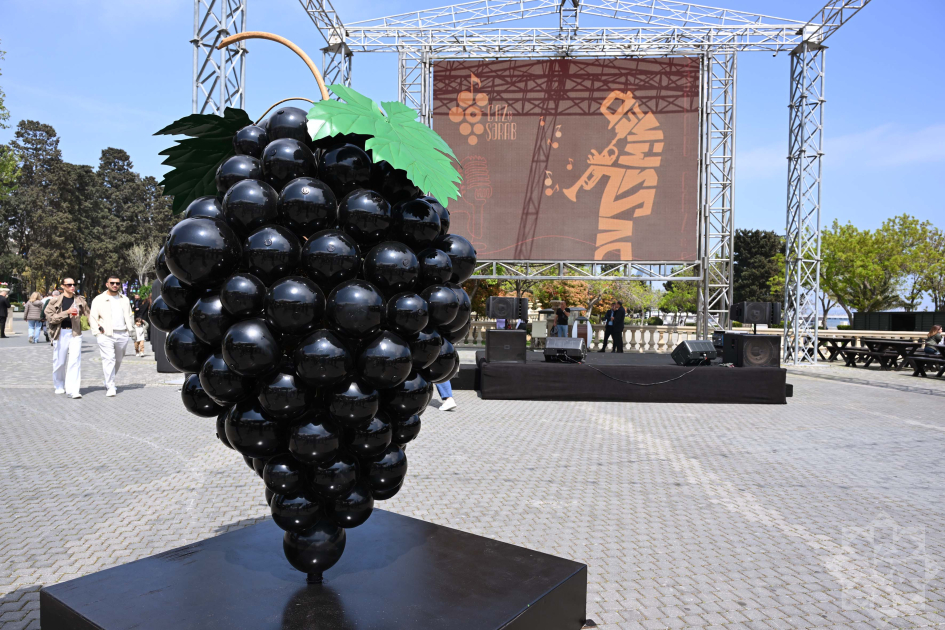 Впервые в Баку: В Приморском национальном парке начался фестиваль джаза и вина