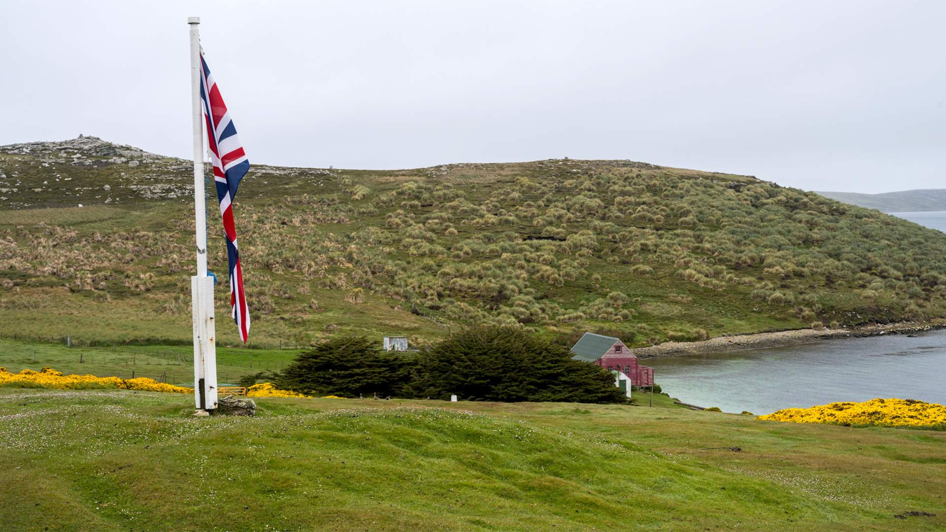Аргентина вновь призывает Британию к переговорам о Фолклендах