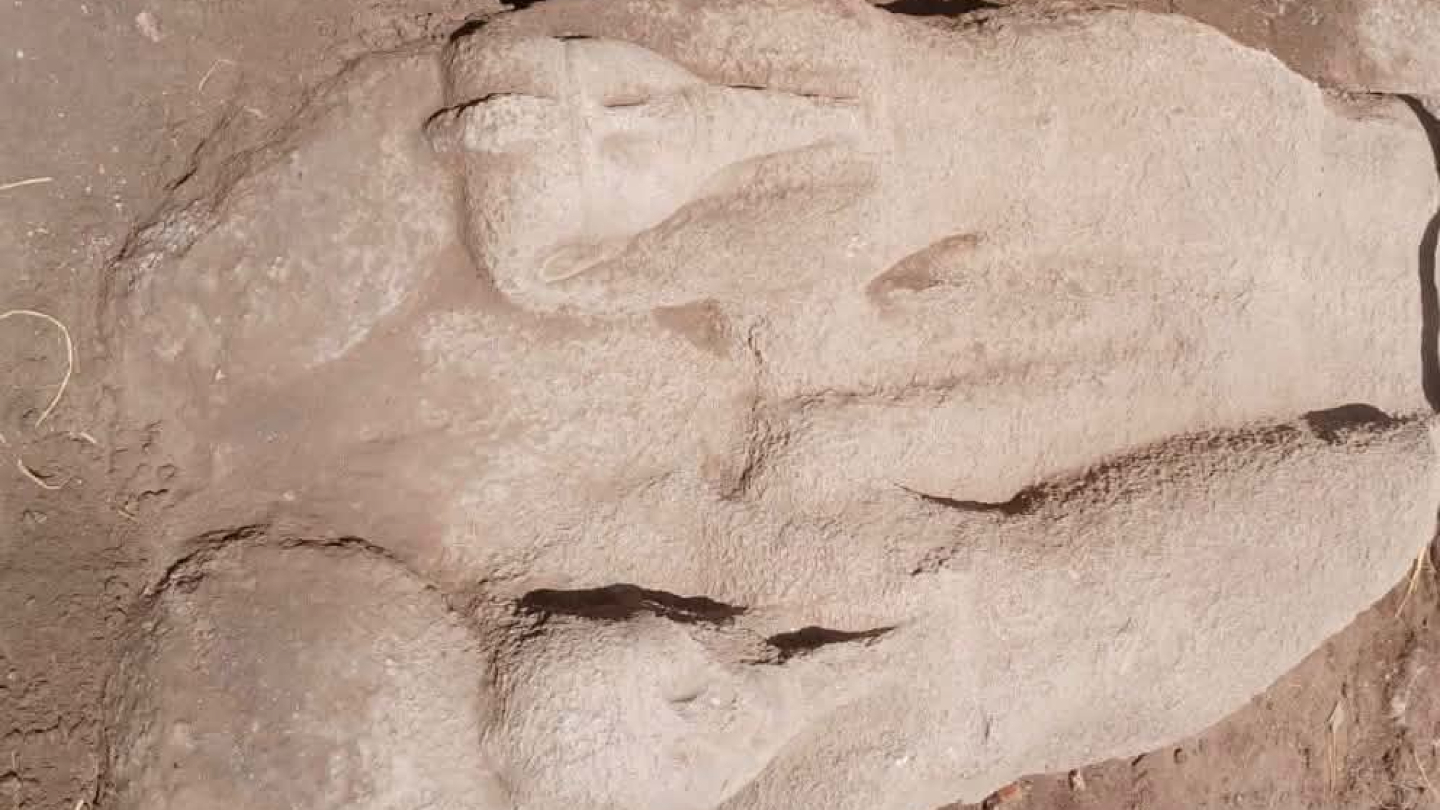 В Египте обнаружили новую большую статую