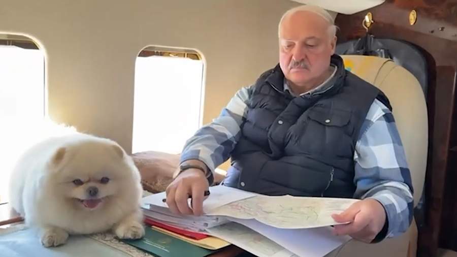 Лукашенко вместе со шпицем Умкой проинспектировал работу аграриев