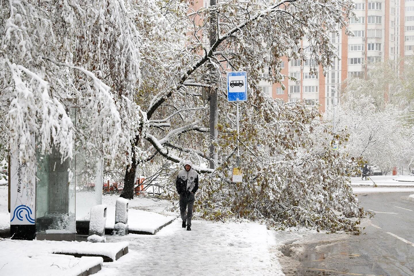 Снегопад в Москве