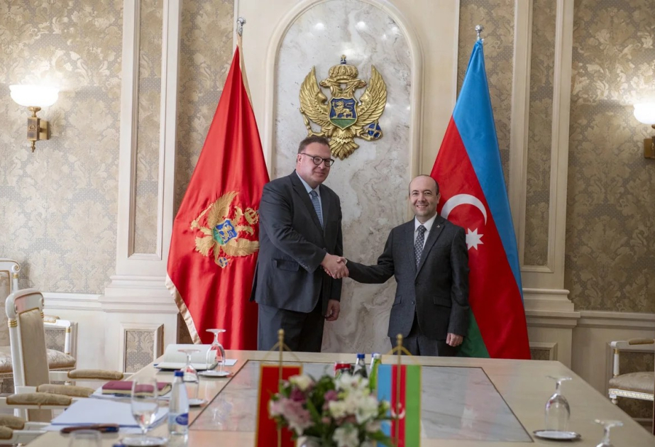Политические консультации между Азербайджаном и Монтенегро: в центре внимания региональная ситуация