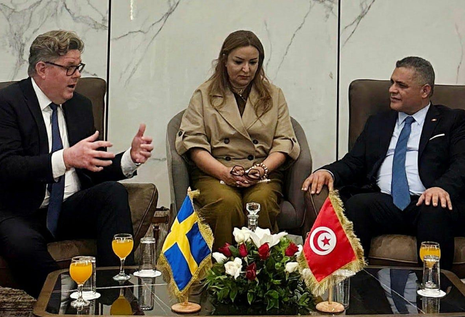 Швеция усиливает борьбу с преступными сетями в Тунисе