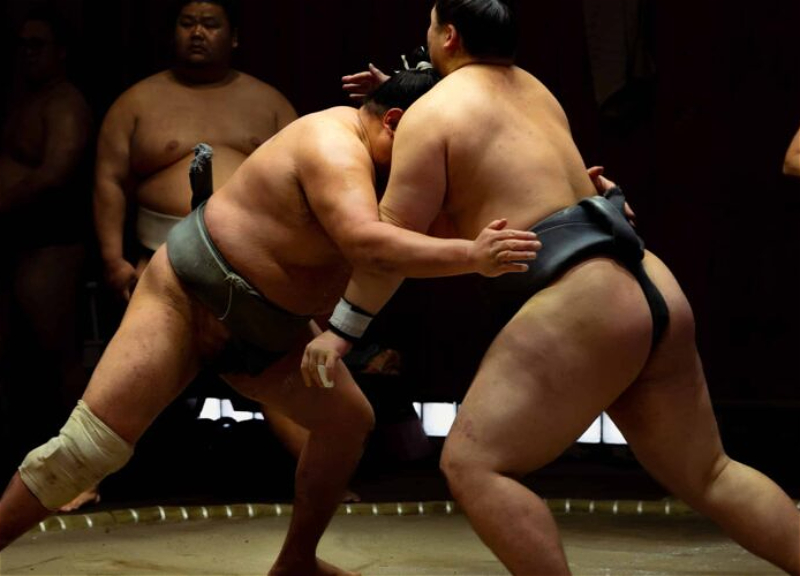 Азербайджанские сумоисты выступят на чемпионате Европы