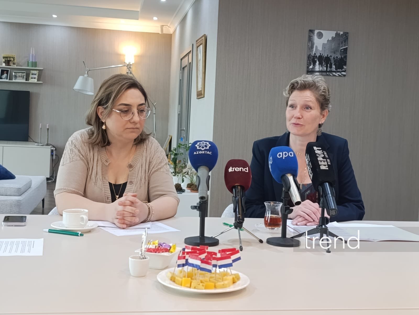 Нидерланды рассматривают возможность визита нового премьер-министра в Баку - посол