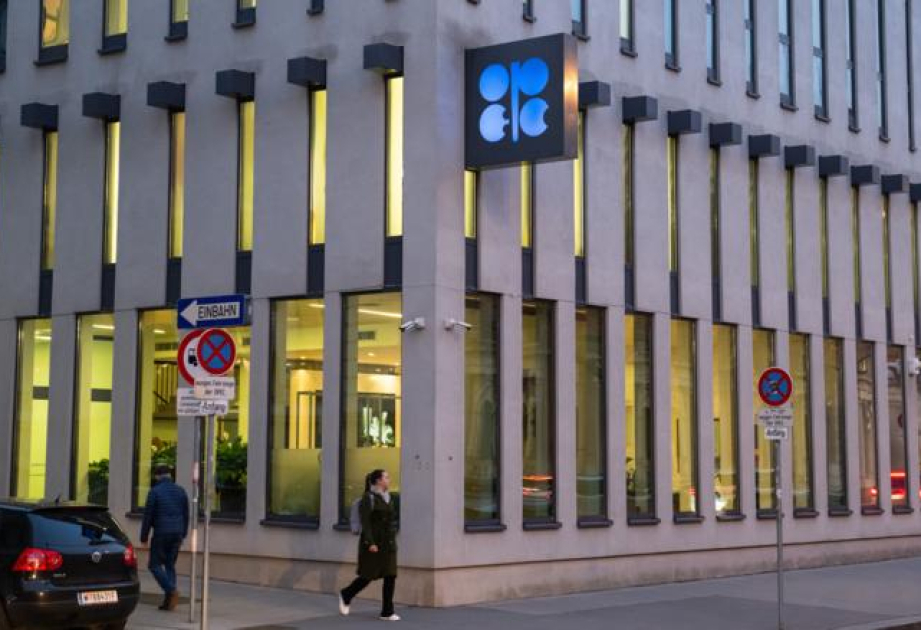 
Москва не рассматривает вариант выхода из ОПЕК