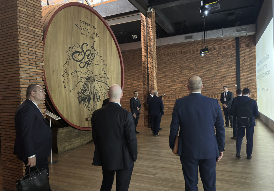 
Чешские предприниматели ознакомились с деятельностью винного завода в Габале