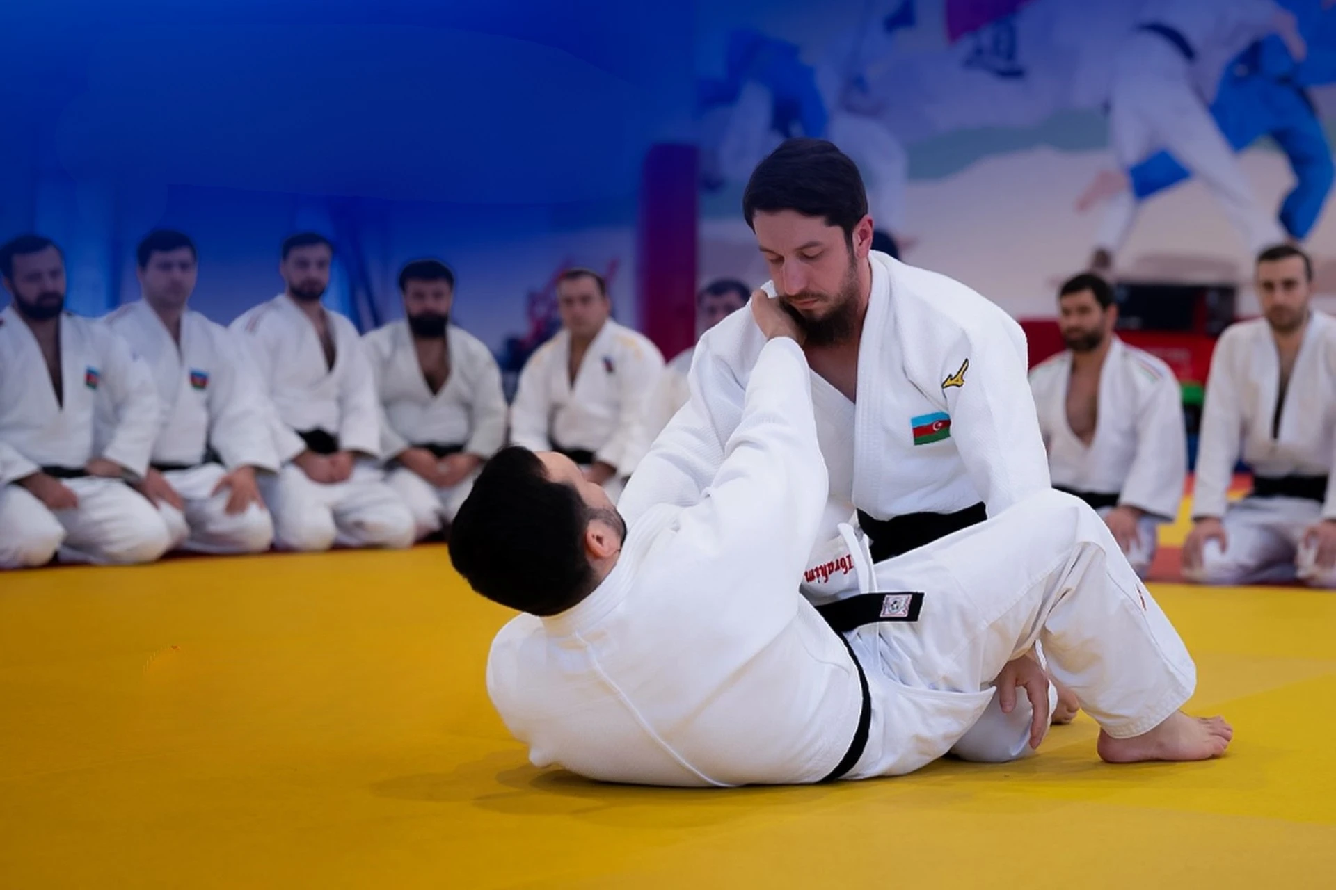 Федерация дзюдо Азербайджана проведет курсы для поступления в международную академию