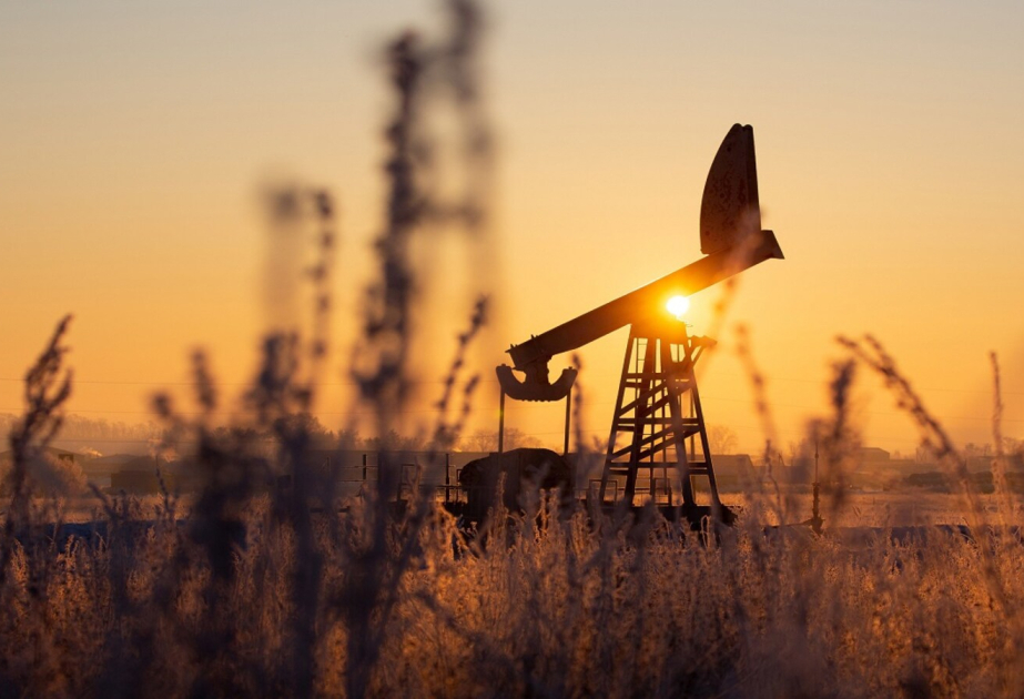 
Нефть подорожала на мировых биржах