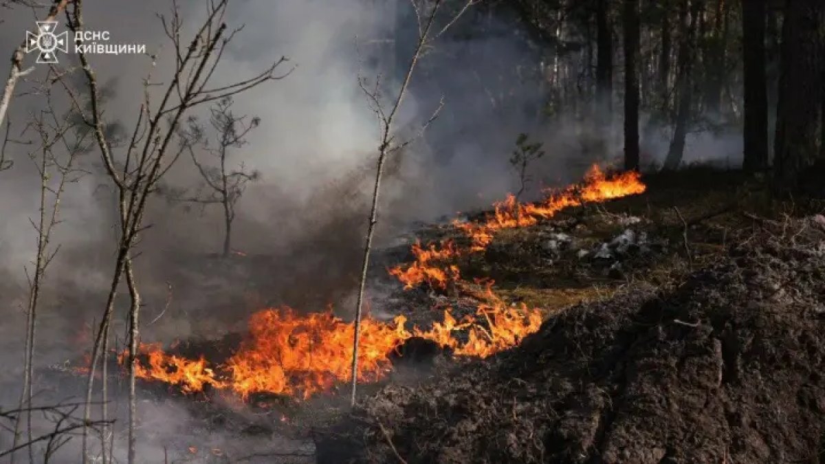 Крупный пожар в Чернобыльской зоне