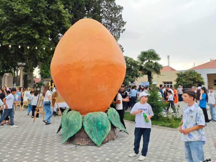 Самух встретит лето ароматом абрикосов