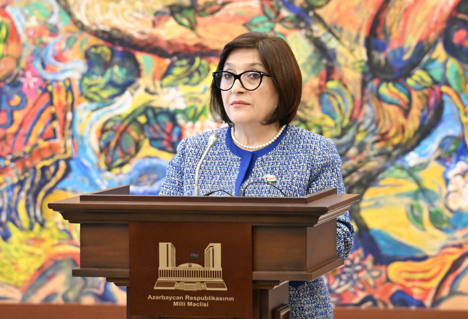 
Председатель Милли Меджлиса: Азербайджано-словацкие отношения поднялись до уровня стратегического партнерства