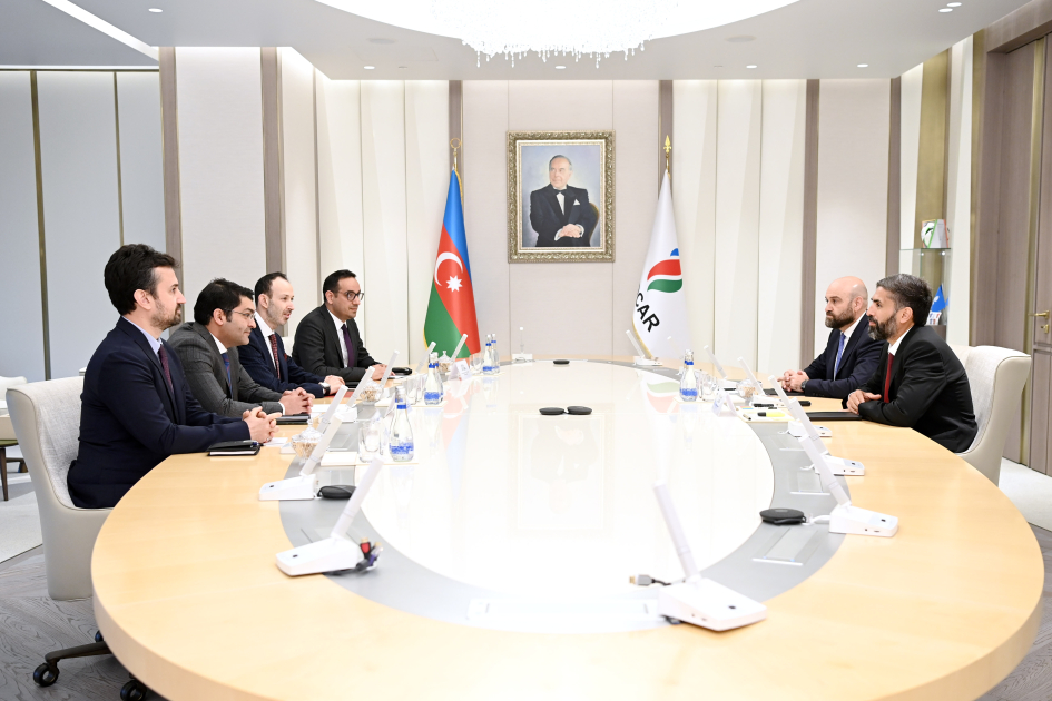 SOCAR и TPAO оценили состояние реализации совместно осуществляемых проектов