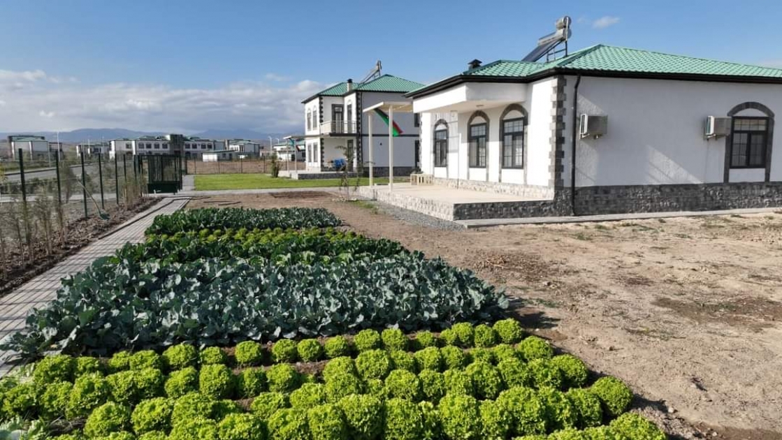 Формула успешного созидания 