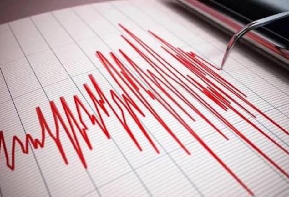 
В турецкой Малатье произошло землетрясение магнитудой 5,6