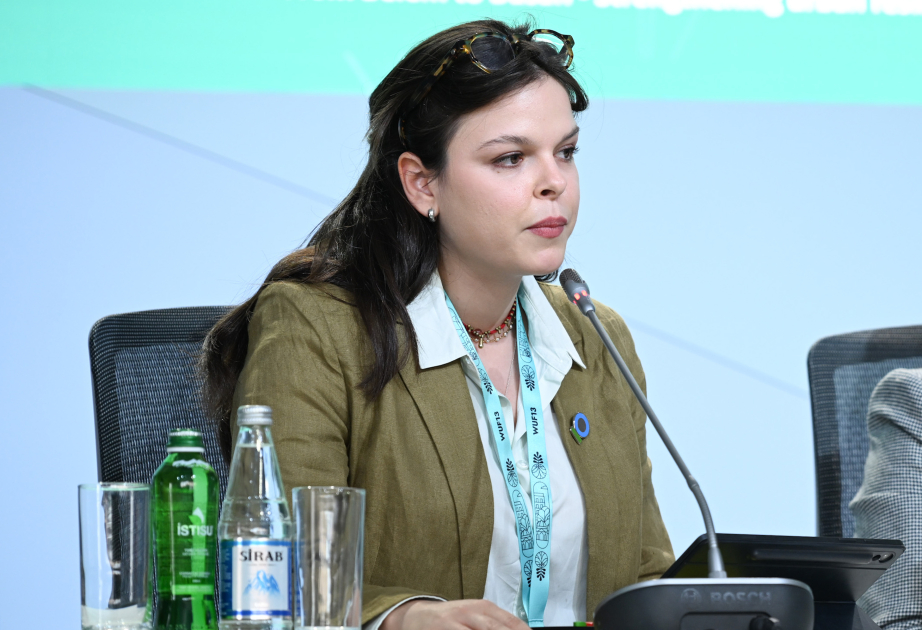 Алис Пива: Градостроительство должно адаптироваться к экологическим вызовам планеты