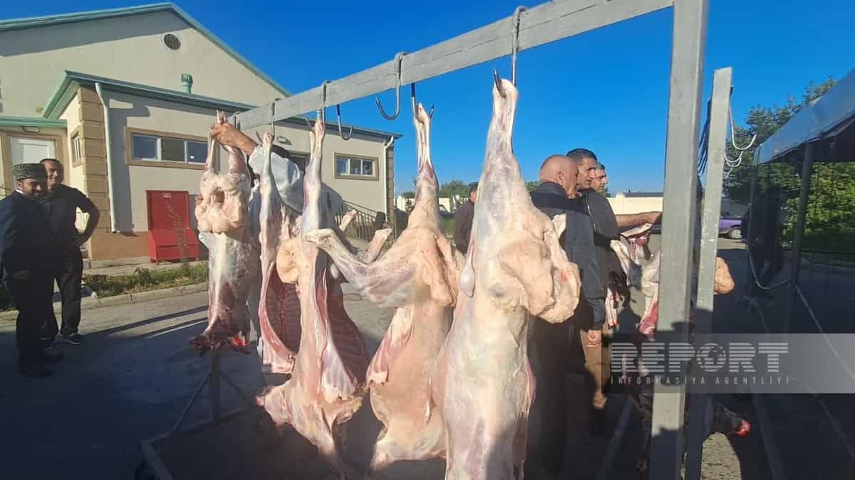 
В Агдаме по случаю Гурбан байрамы 3 тыс. малоимущих семей раздали жертвенное мясо