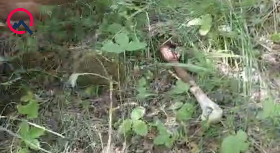 В Агдере обнаружены фрагменты костей, предположительно принадлежащие пропавшей без вести семье