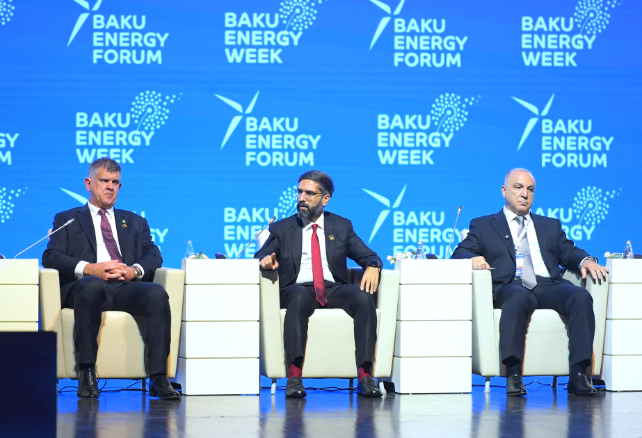 
Президент SOCAR: Азербайджанский газ &ndash; один из самых надежных источников энергии в регионе