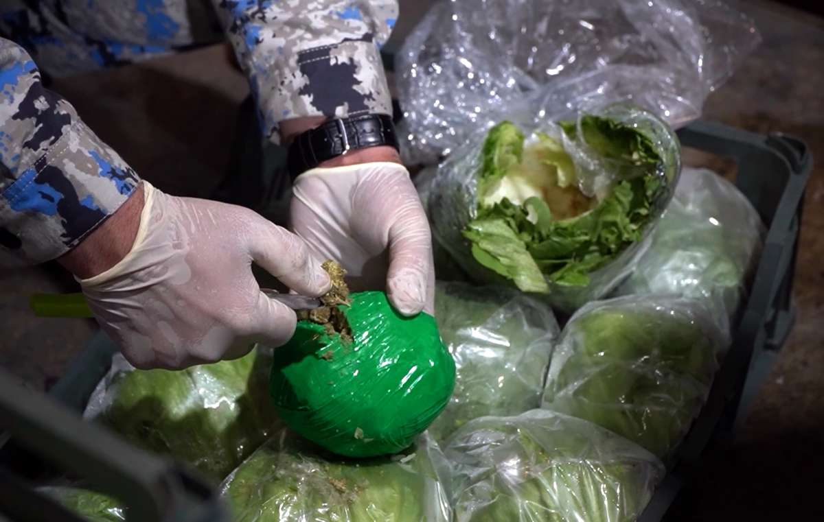 Из Ирана в Россию: марихуану везли в салате
