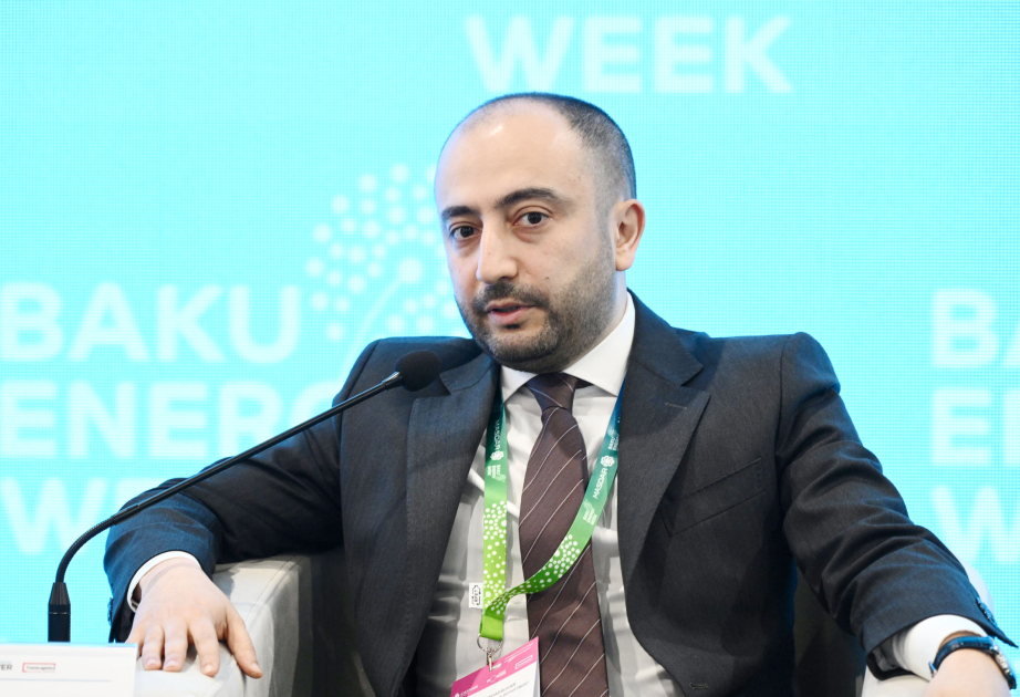 
Нариман Шахсувар: Возобновляемая энергетика не сможет надежно покрыть весь спрос без резервных источников