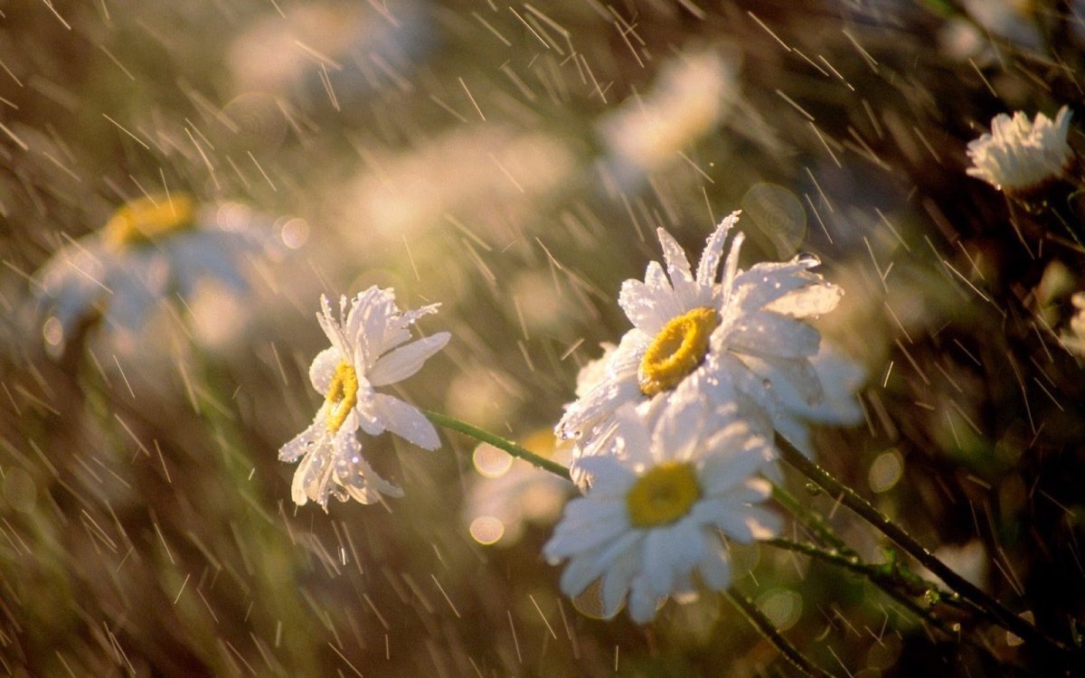 
Погода на завтра