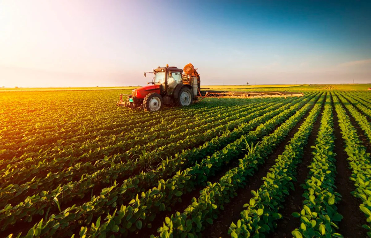 
Экспорт аграрной продукции Азербайджана за десятилетие увеличился на 62,8%