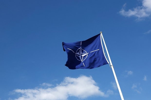 В Европе возмутились планами НАТО на Украине