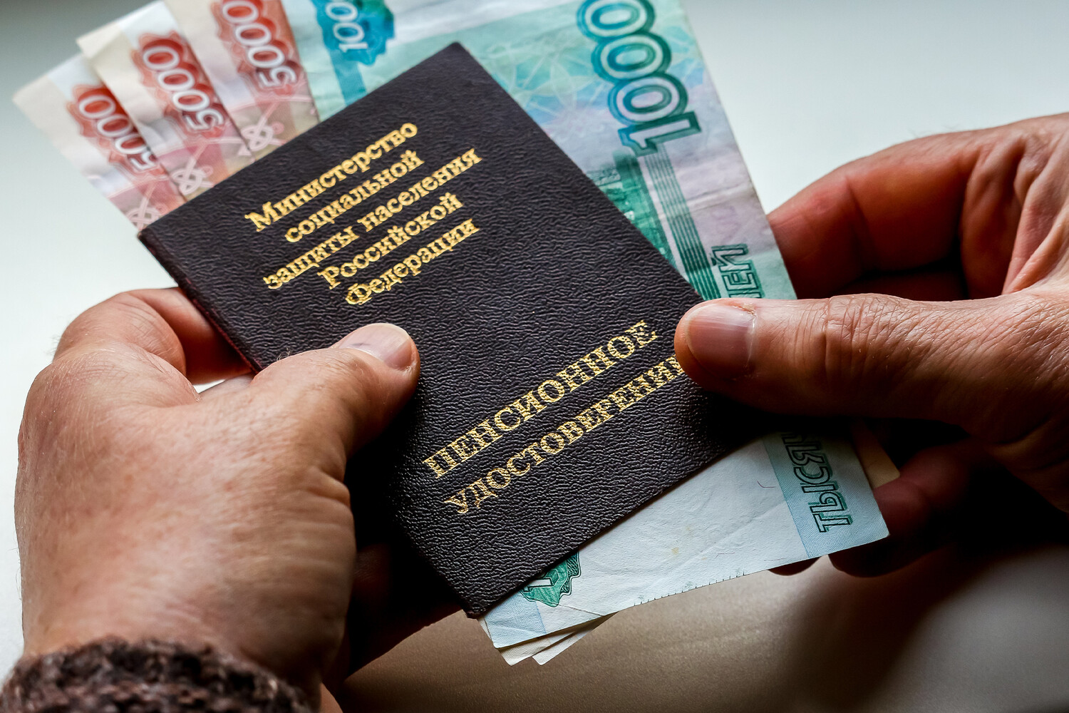 В России предложили запустить новую пенсионную программу