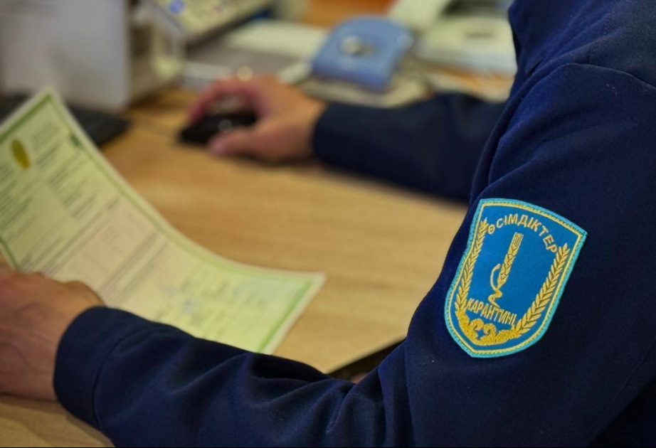
Казахстан уничтожил крупную партию продукции, ввезенной из КНР с нарушениями